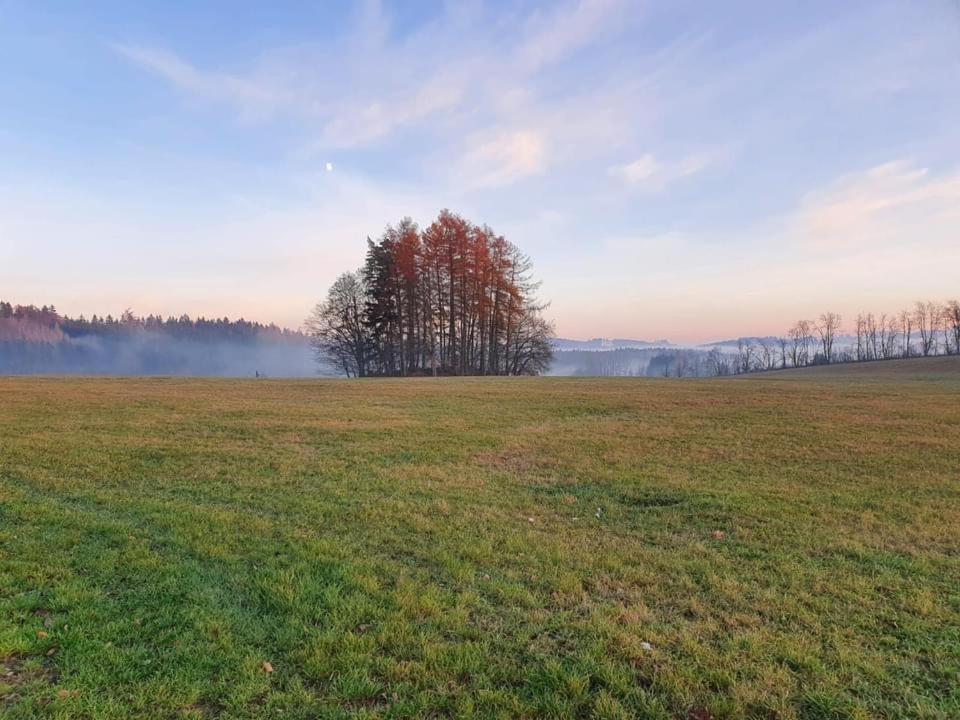 Apartmany Rudnik Bolkov ภายนอก รูปภาพ
